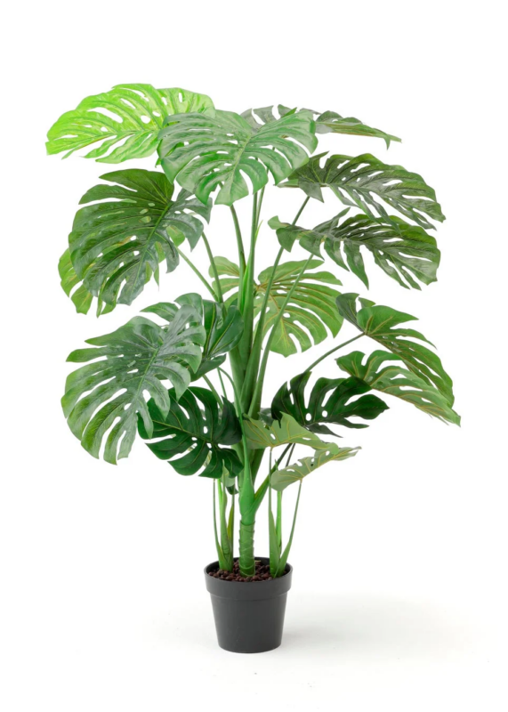 人工観葉 モンステラ