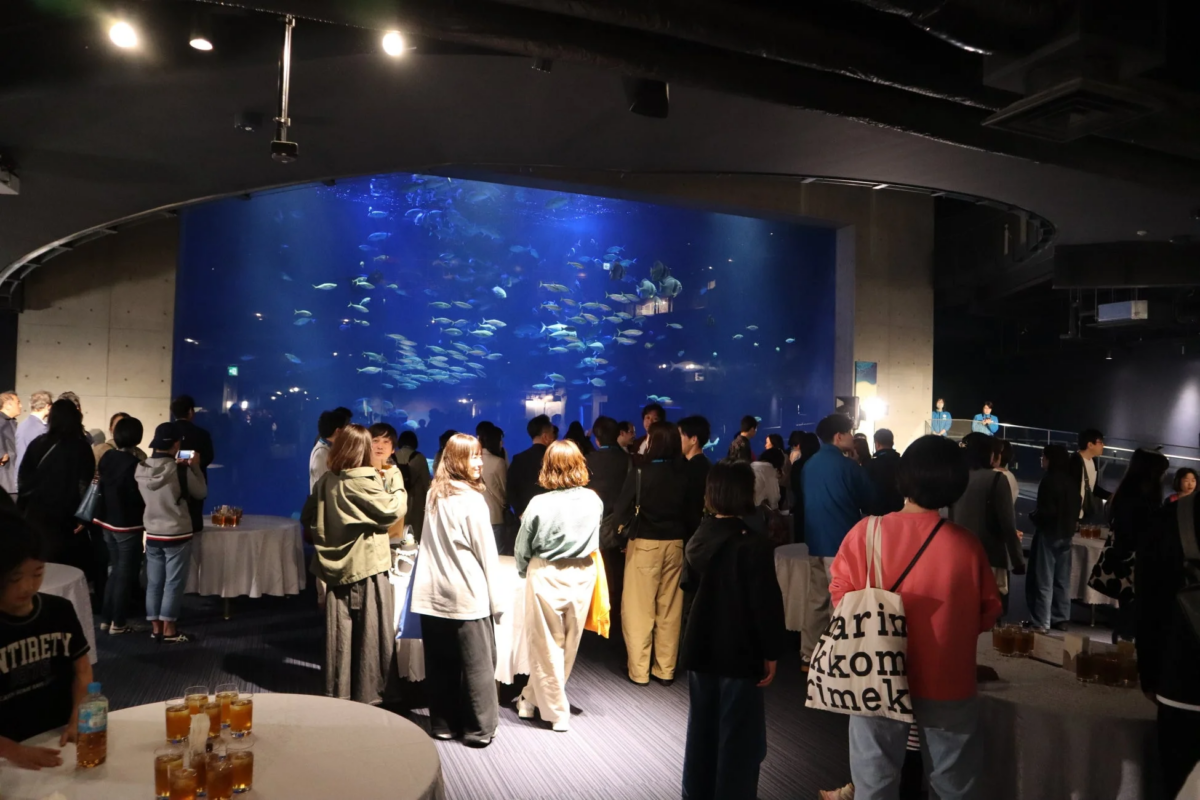 水族館内の様子